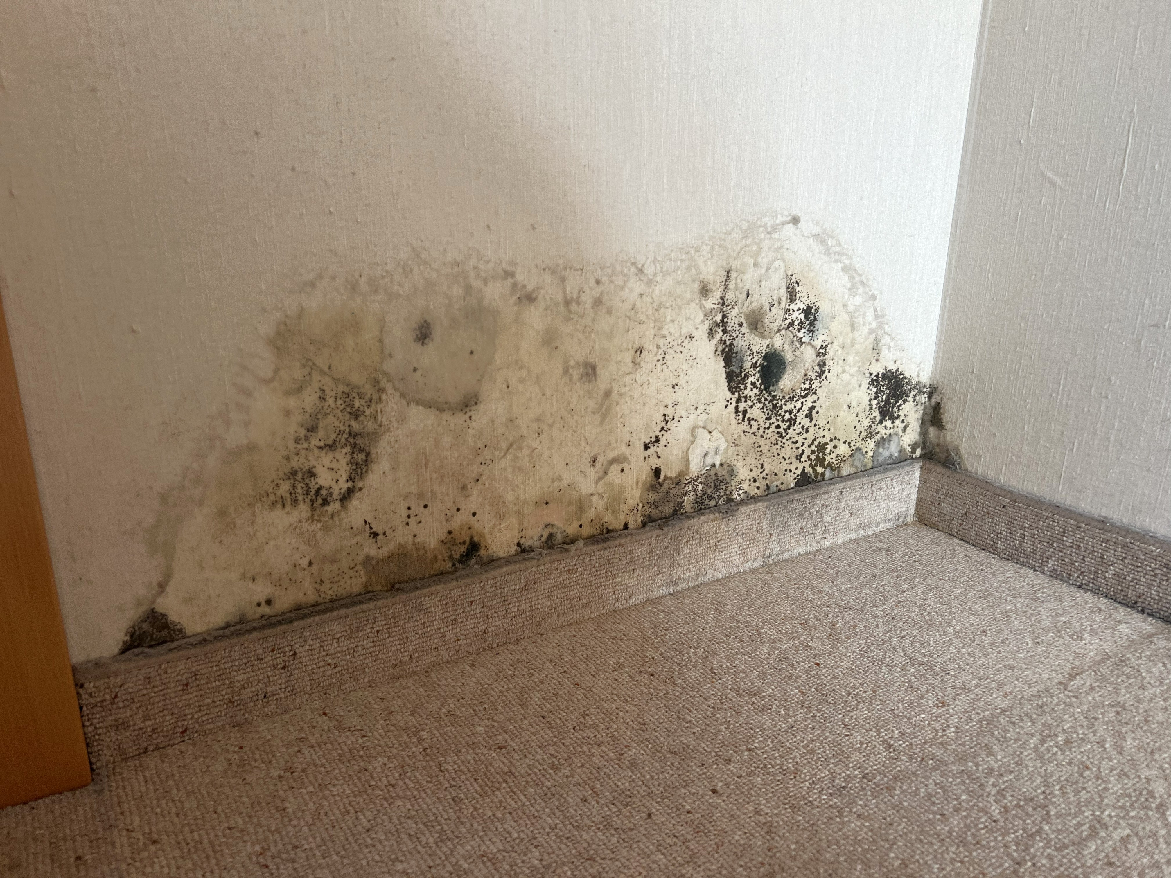 Schadenbild an einer Wand