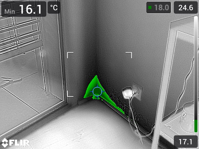 Schimmel_3_Thermobild