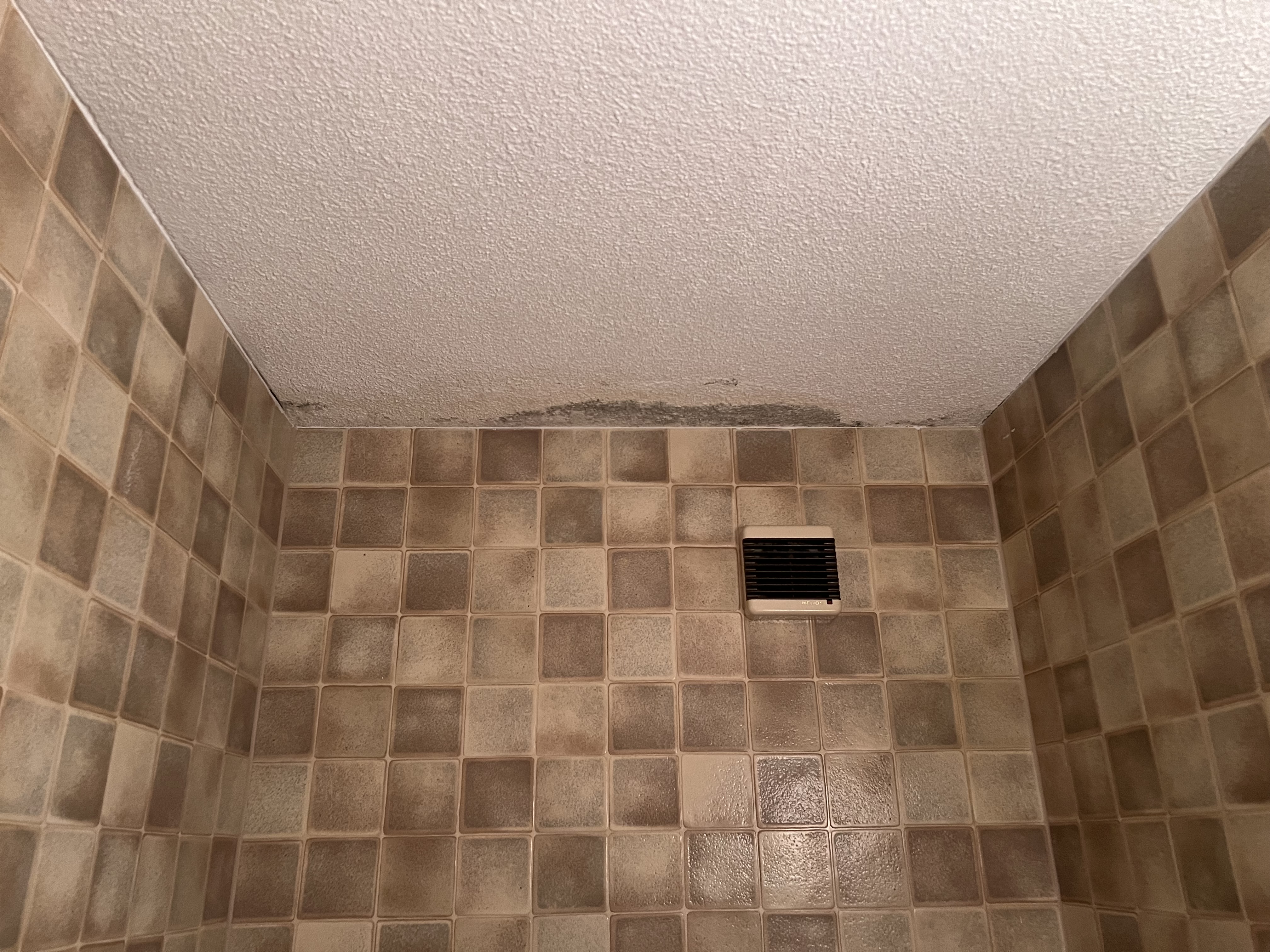 Schimmelbildung an der Decke