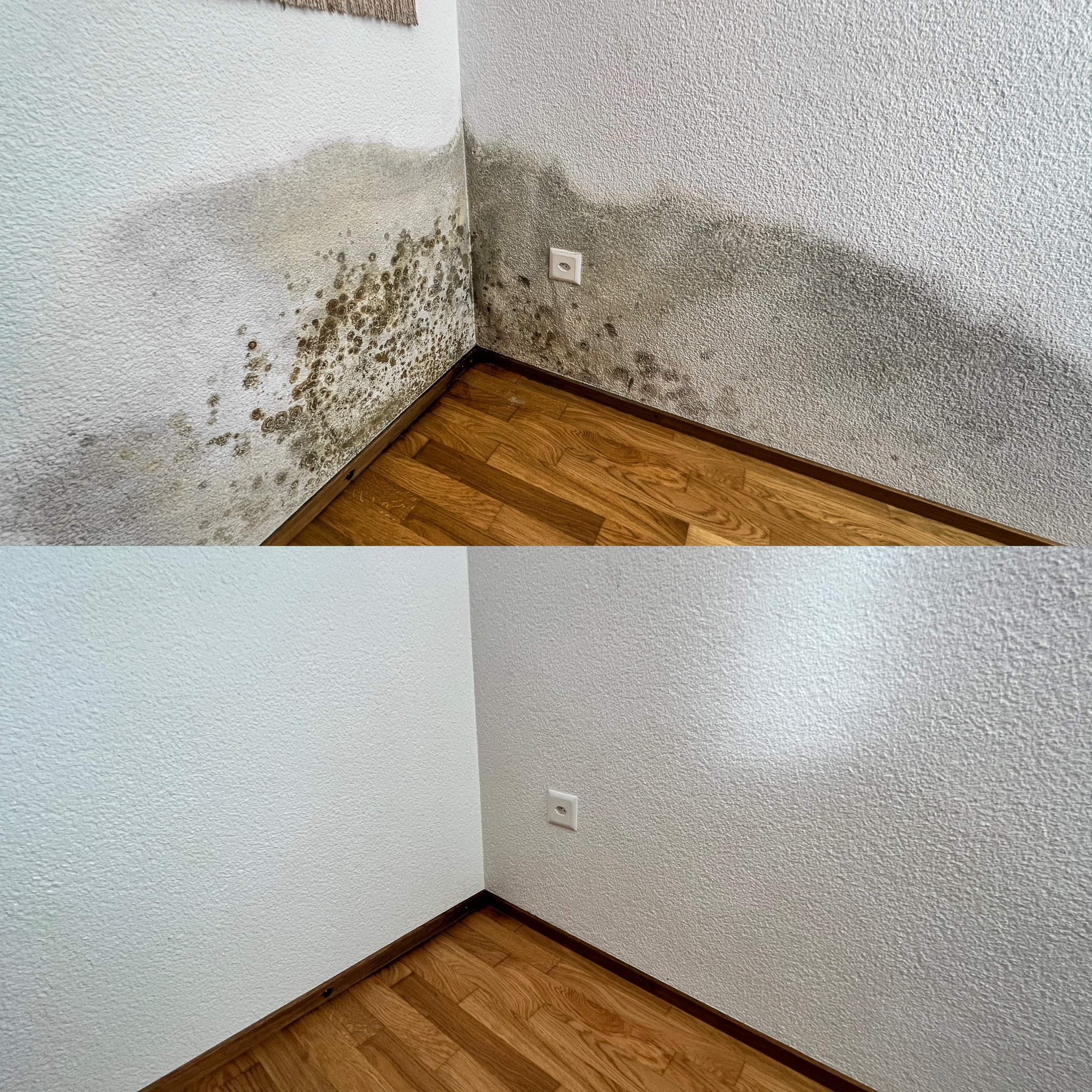 Schimmel_6_vorher / nachher
